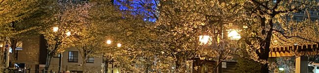 lapinagile's header image
