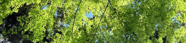 あたうさん's header image