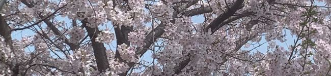 関西現役JK's header image