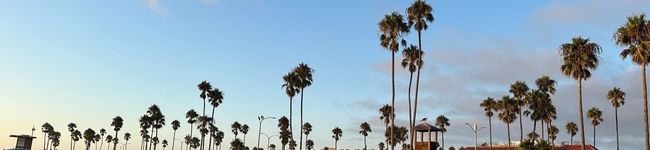 longasia's header image