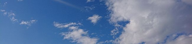 えみりー_619's header image