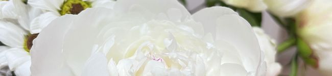 あかり_らしく生きる's header image