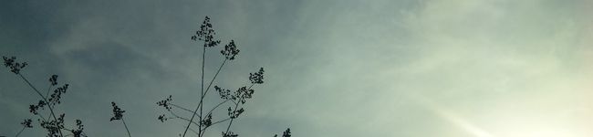 ◩のんち◩'s header image