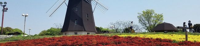 kogumane77's header image