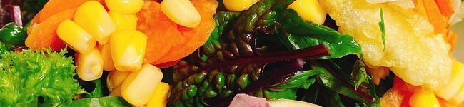 のぐちファームごはん's header image