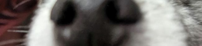 パム蔵's header image