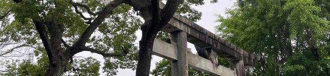L'image d'en-tête de キンプリ