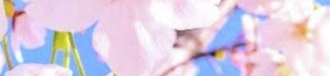 S、N's header image