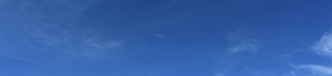punii's header image