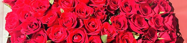 Risamarush's header image