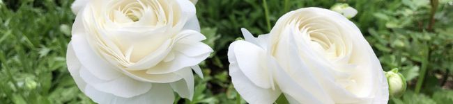 ♡kumax♡'s header image