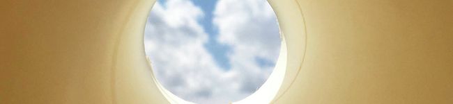 よん( ¨̮ )'s header image