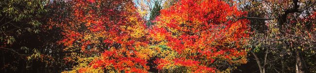 yasunari97's header image