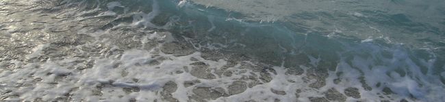 pooh22's header image