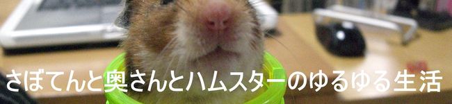 孤独なさぼてん's header image