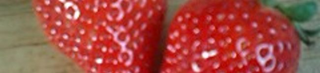 彩ノブ's header image