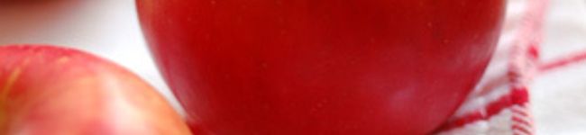 snowdayan's header image