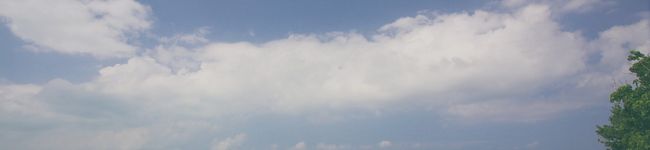 Hair Sango's header image
