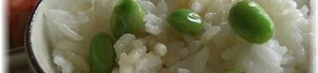 アンチョビン's header image
