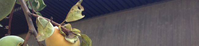 unachu's header image
