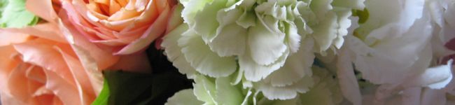 hiroko1981's header image