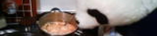 G－yo's header image
