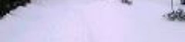 ari701ka's header image