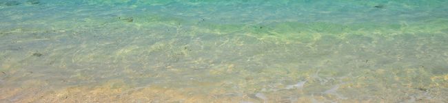 yuming02's header image
