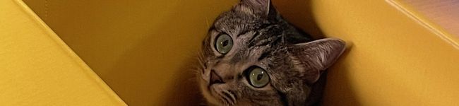 coopase's header image