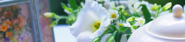 目が固ぷよーこ's header image