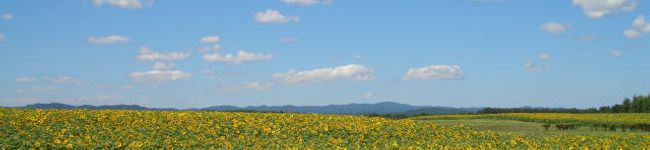 さおっこキッチン's header image