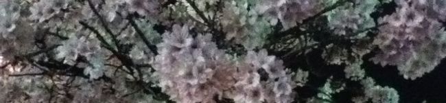 ichigousa's header image