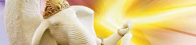 shaanti's header image