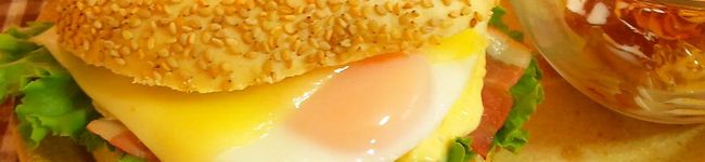 cotocha's header image