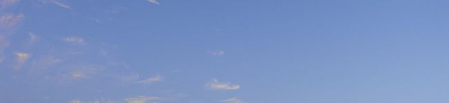 のんびりゆみむし's header image