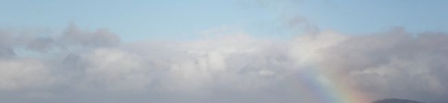 highmi's header image