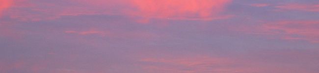CooQoo's header image