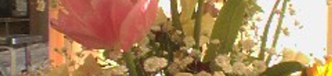 ikko★'s header image