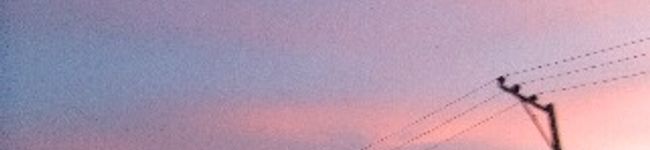 talove02's header image