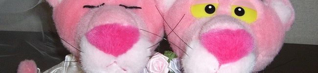 みかんけーき☆'s header image