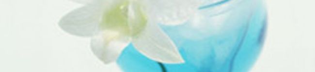 ぼんC's header image