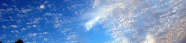 Ccaaz's header image