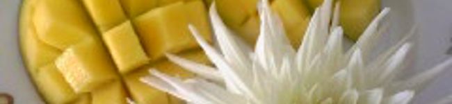 yurichika's header image