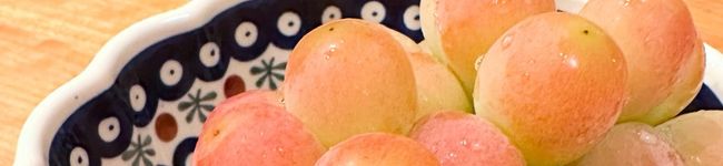 guppie's header image