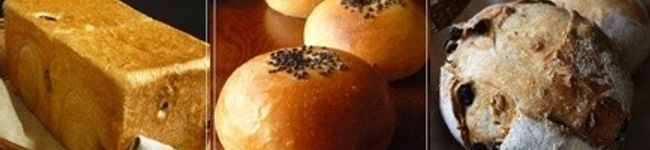 saza8225's header image
