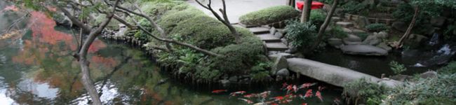 kaseijin's header image