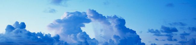 さいねりあ。's header image