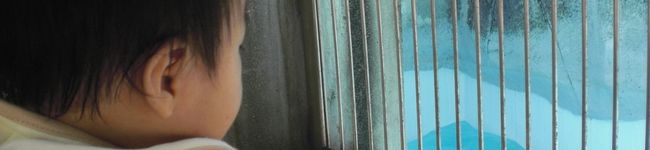 meave's header image