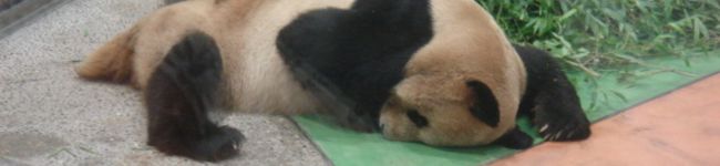 由良上野介's header image