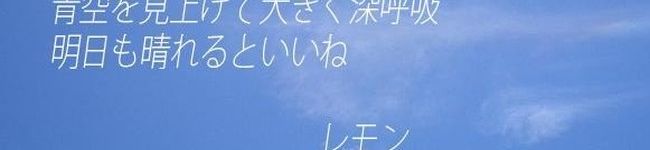 青空レモン's header image